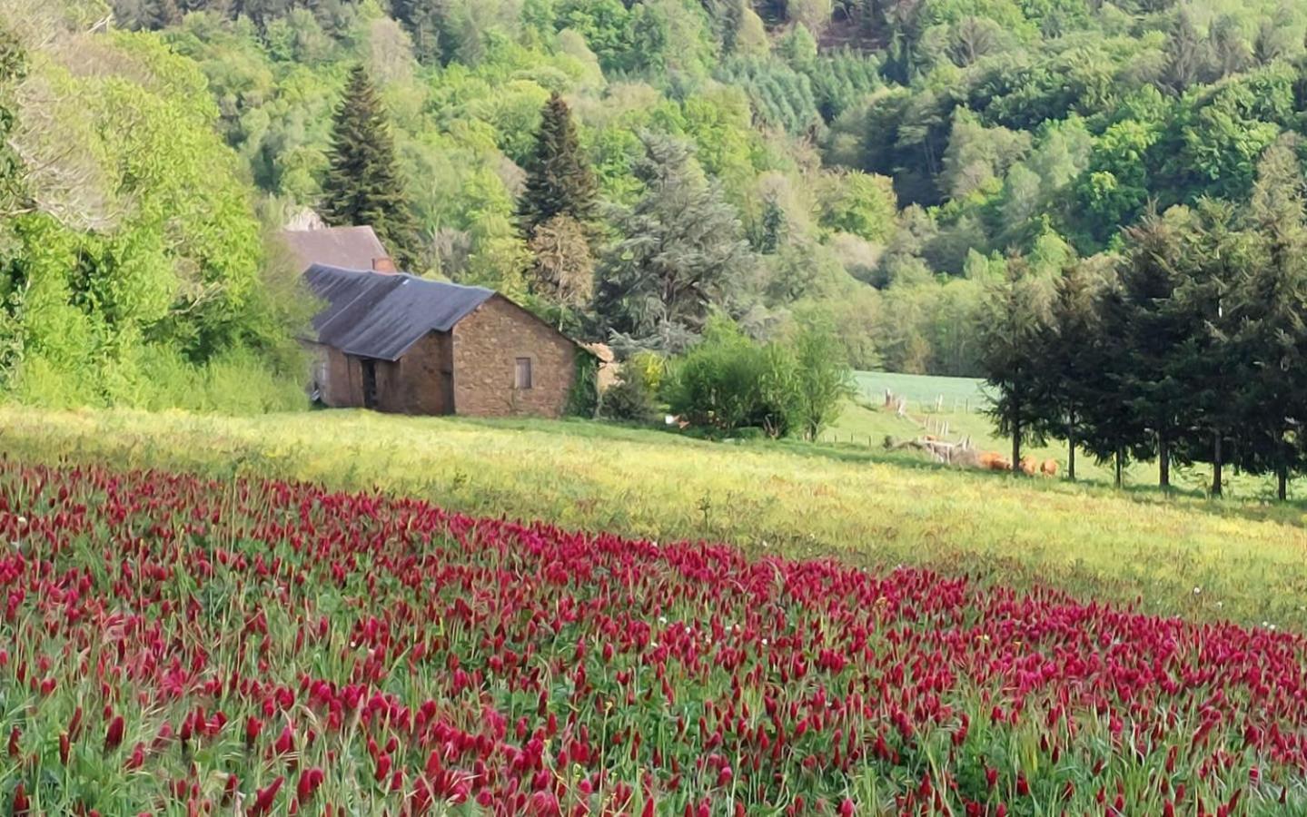 Arcenfrance Villa Sussac Exterior photo